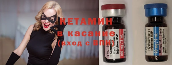 гашик Алексин