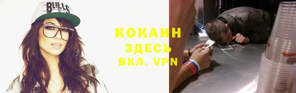 гашик Алексин