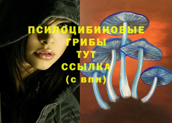 ALPHA-PVP Алексеевка