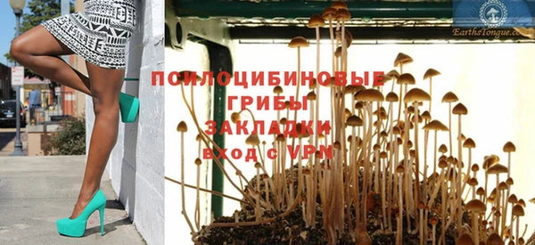 спайс Алзамай