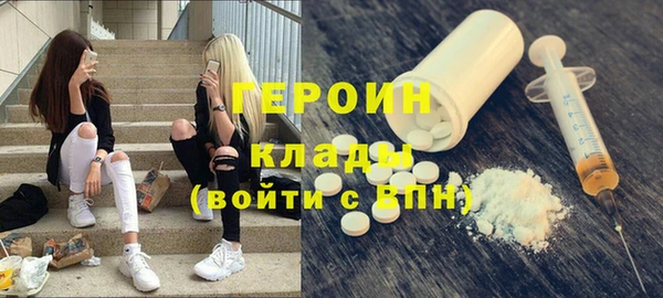 гашик Алексин