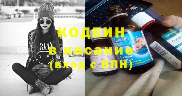 гашик Алексин