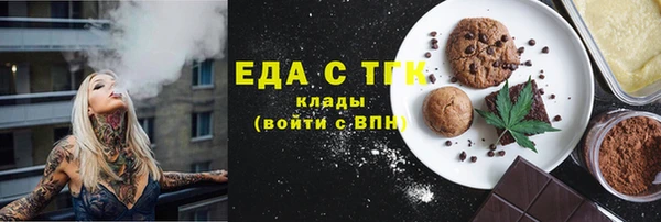 гашик Алексин