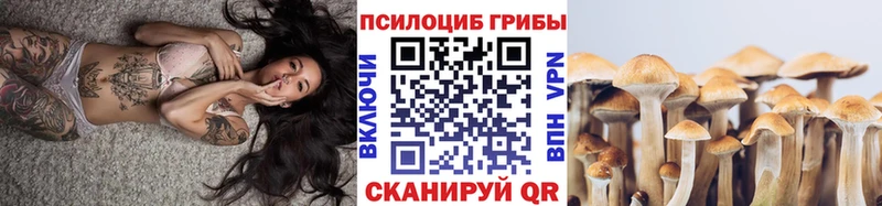 Галлюциногенные грибы Cubensis  как найти закладки  Макушино 